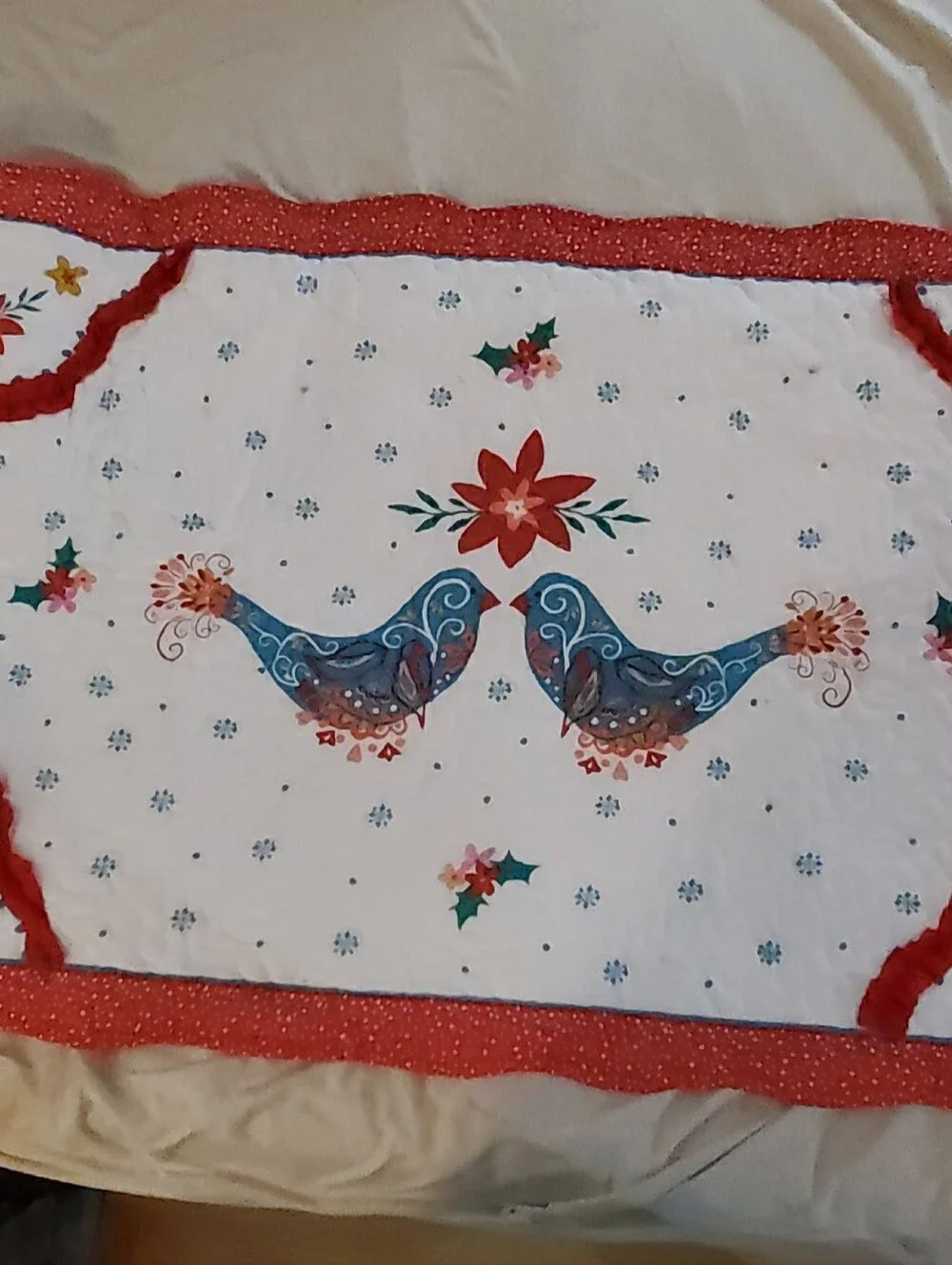 Festive Pioneer Woman Blue Bird Quilted Bedding Shams with Red Trim